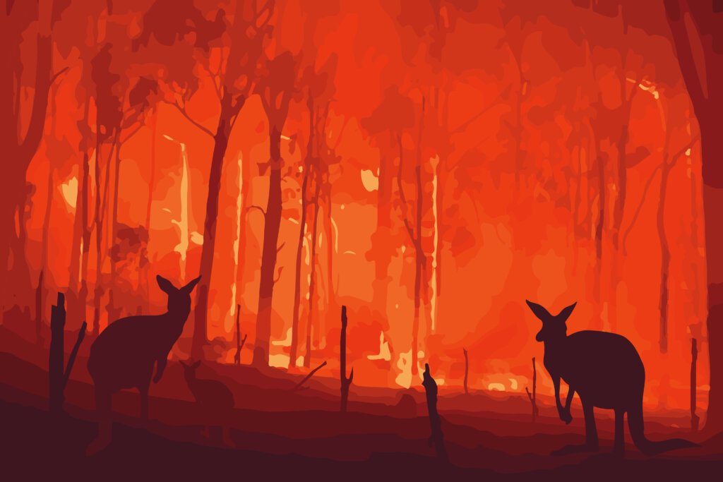 AI cameras to monitor bushfires.