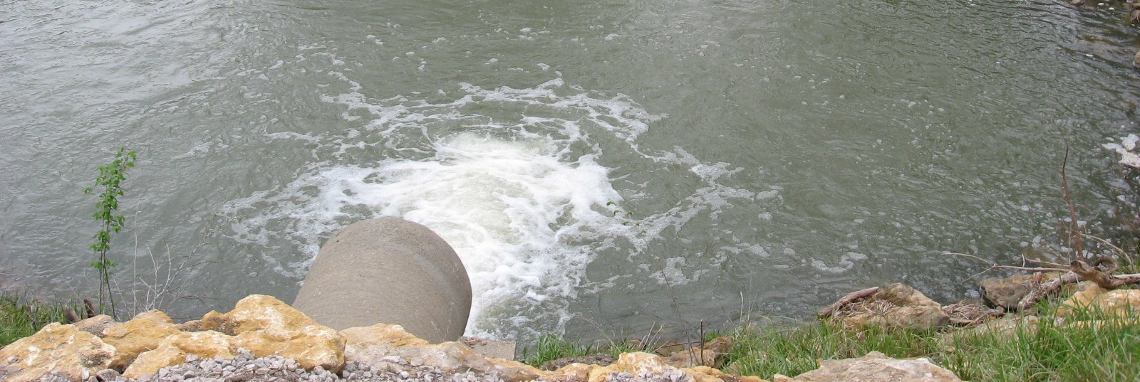 Image for article on climate reporting standards in Japan.